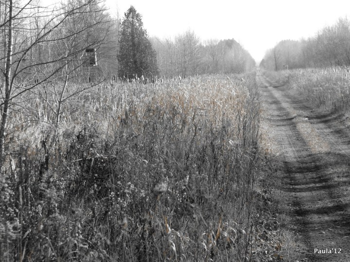 Railway Trail - Grey County