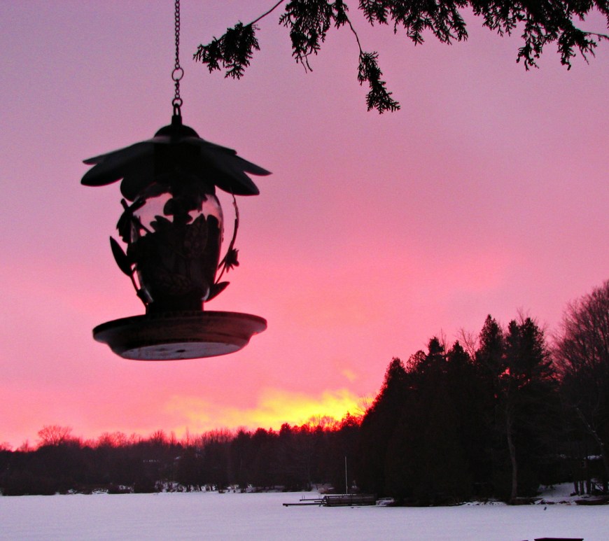 Sunset & Bird Feeder