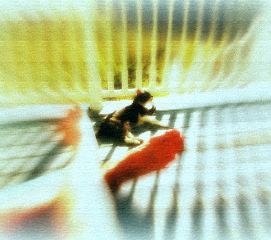 A Blessing for Sunday