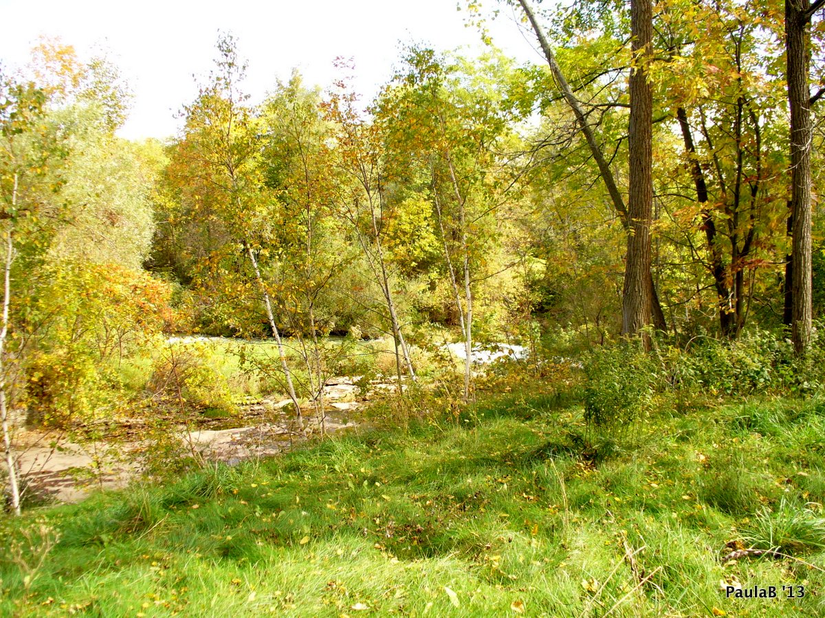 Ghost Towns of Ontario Crooks Hollow by PaulaB