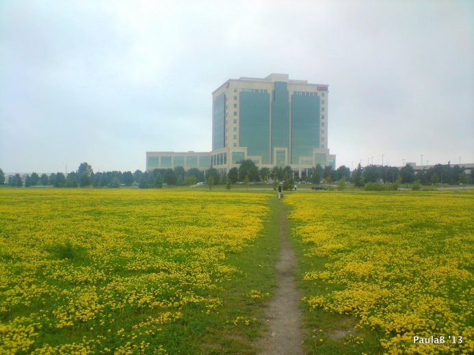 Ingram Micro Building