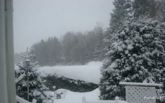 Fluffy F'n White Stuff