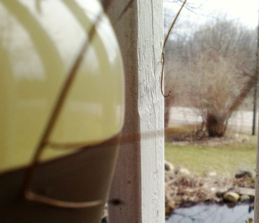 Cover - Flaws & Beauty