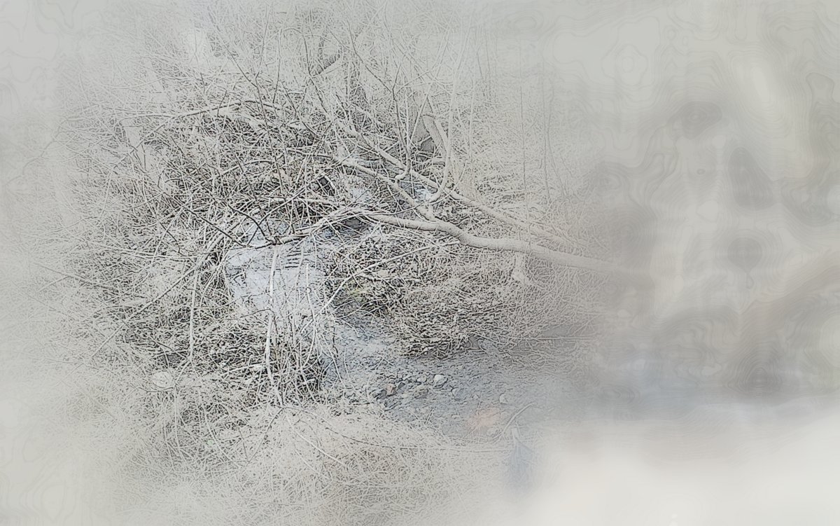 Stream - Tears of Joy