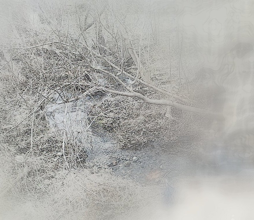 Stream - Tears of Joy