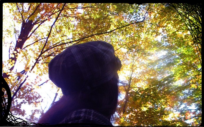 me and the trees 2014