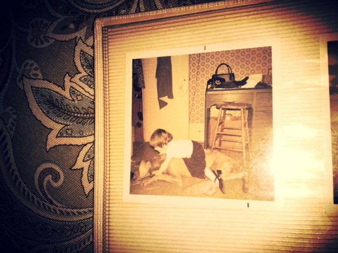 8643408834_0a18eafd7d_b