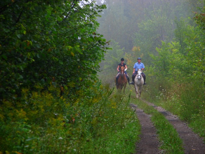 Horse and Rider in the Mist