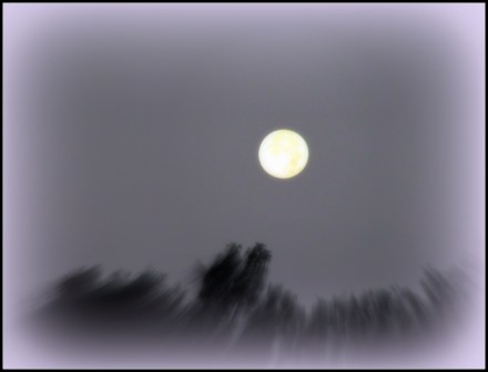 The Moon Over Irish Lake