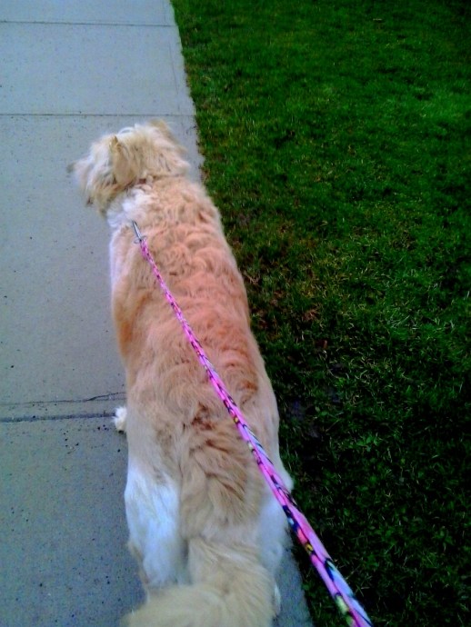 IMG_20140430_200733-001