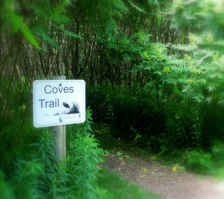 Coves Trail