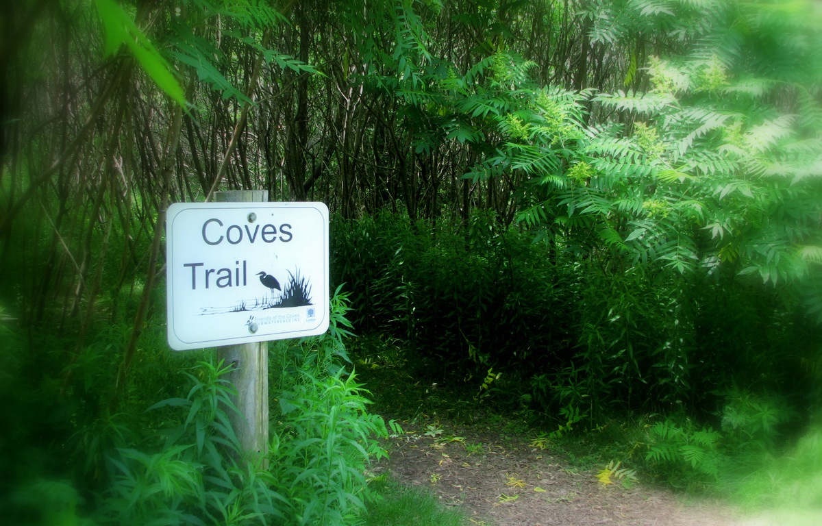 Coves Trail