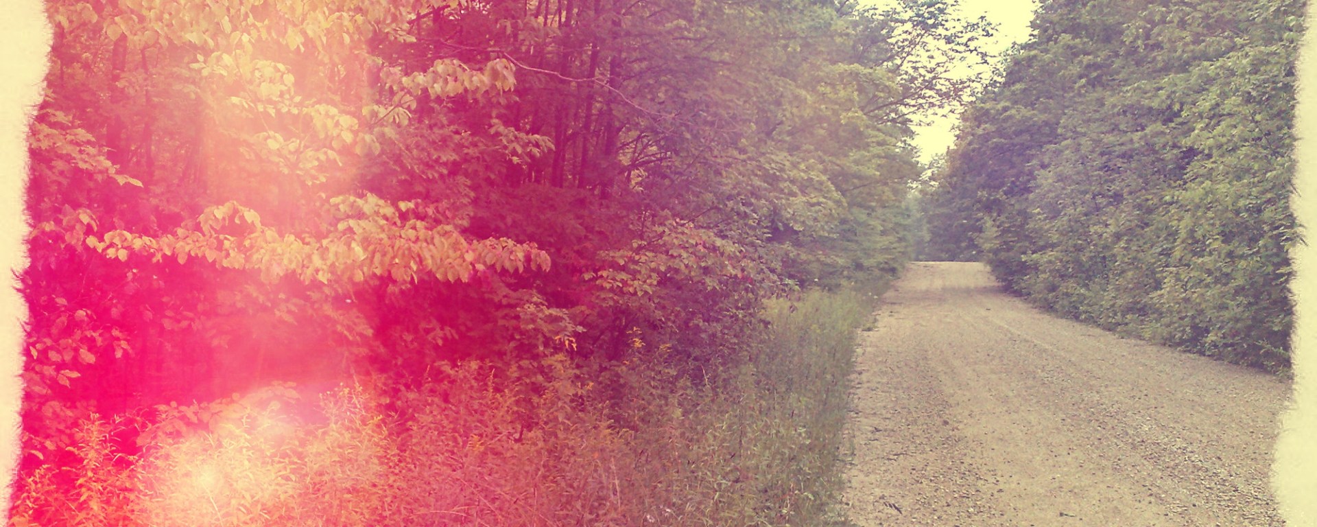 A backroad of GreyCo