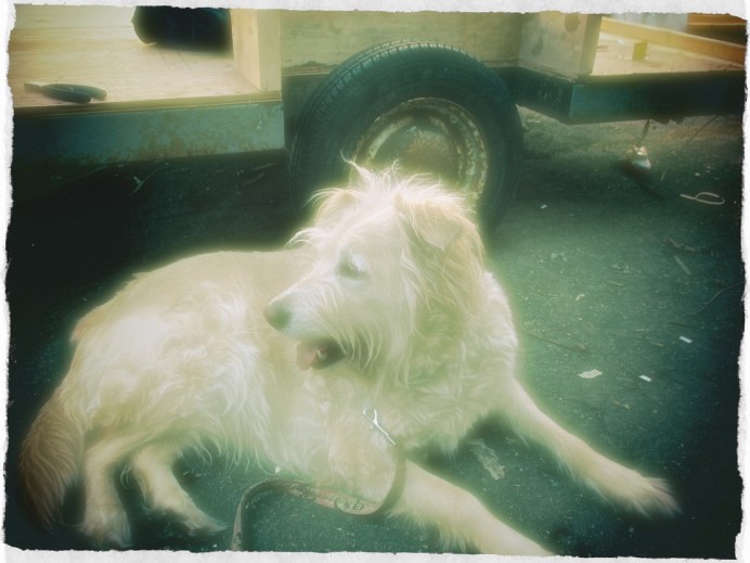 Visiting Crossroad Man's