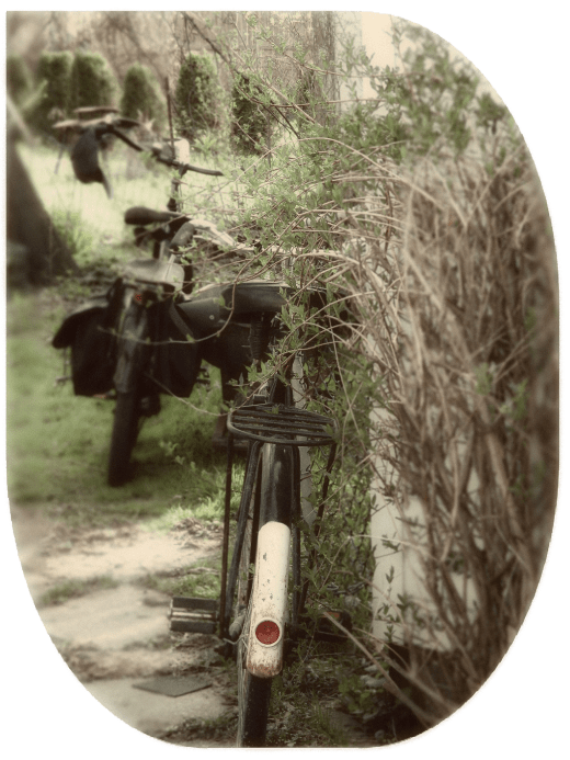 Vintage Bicycle c1950's. In front new Norco.
