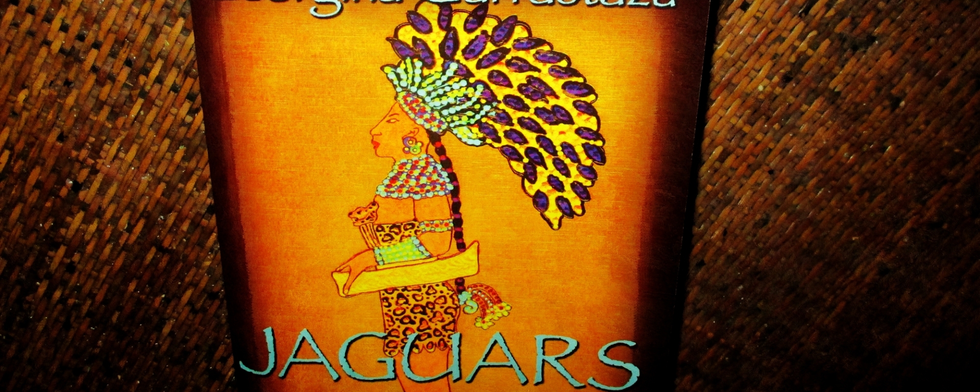 Jaguars, by Georgina Garrastazu