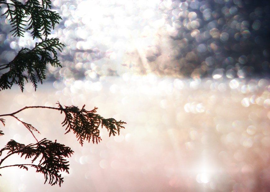 The Daemon That Danced Naked In The Dell