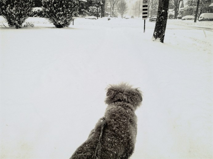 The Village In Winter