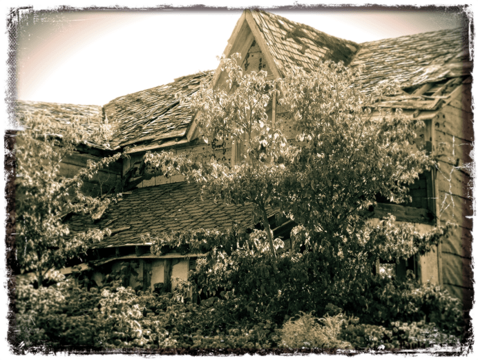 Abandoned House in Grey County