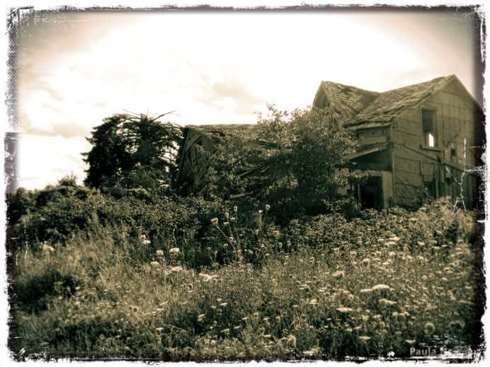Farm House in Meadow