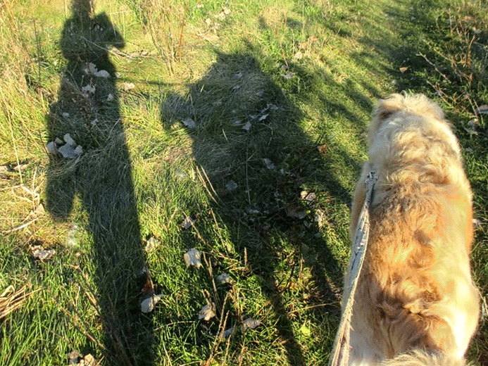 Irish and I gif - thetemenosjournal.com