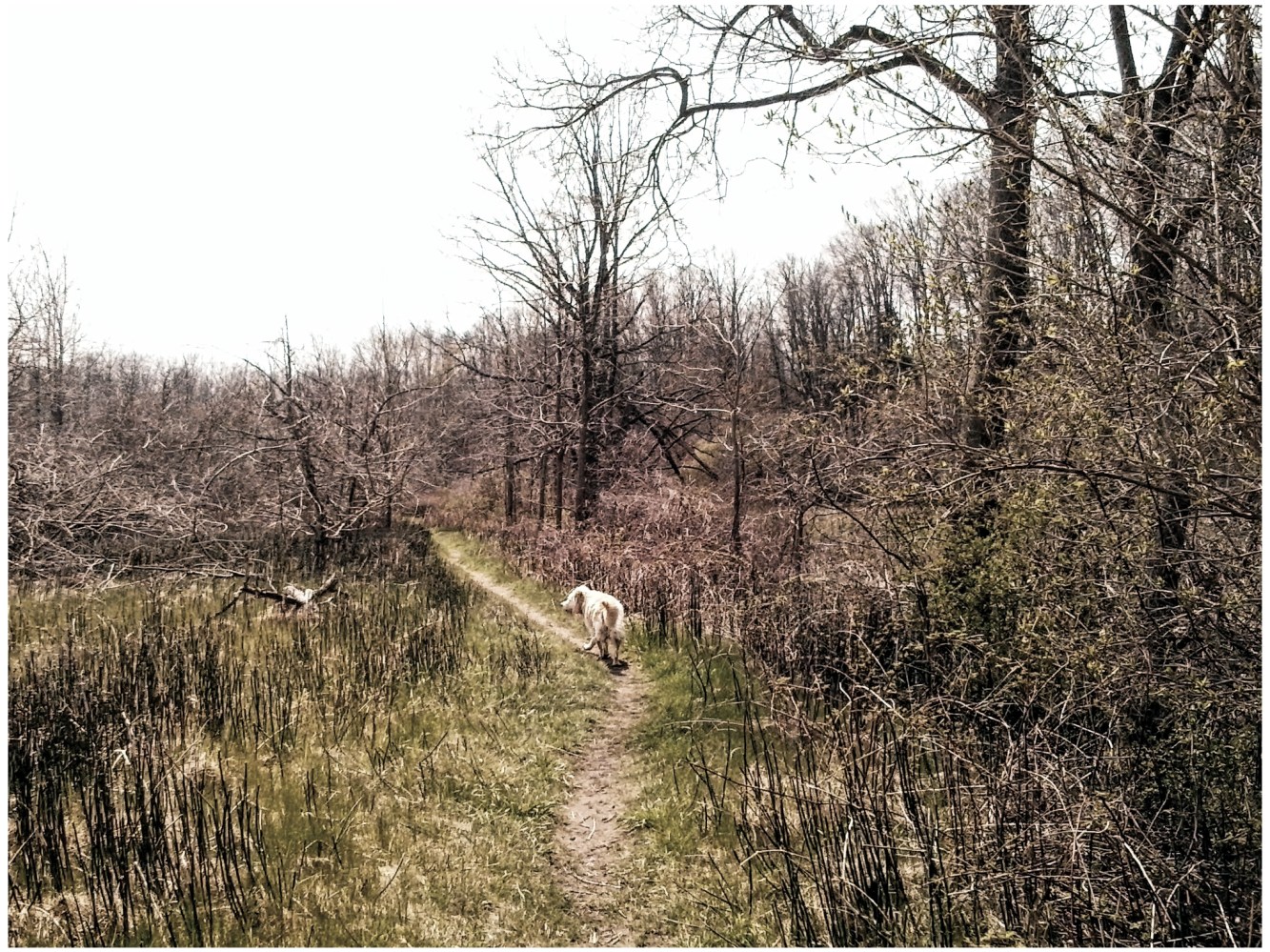 2016 The Coves - May