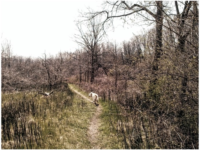 2016 The Coves - May