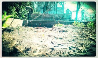 Normal School from front herb bed