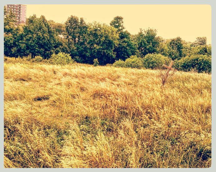 cross in the meadow