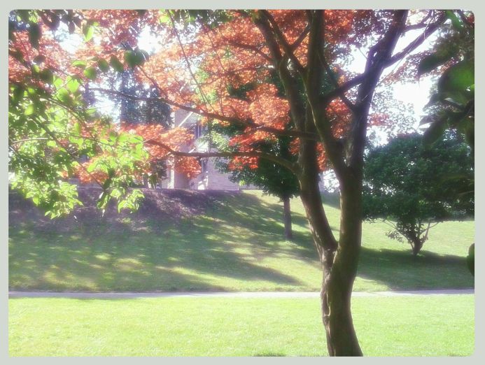 guest house on the mount