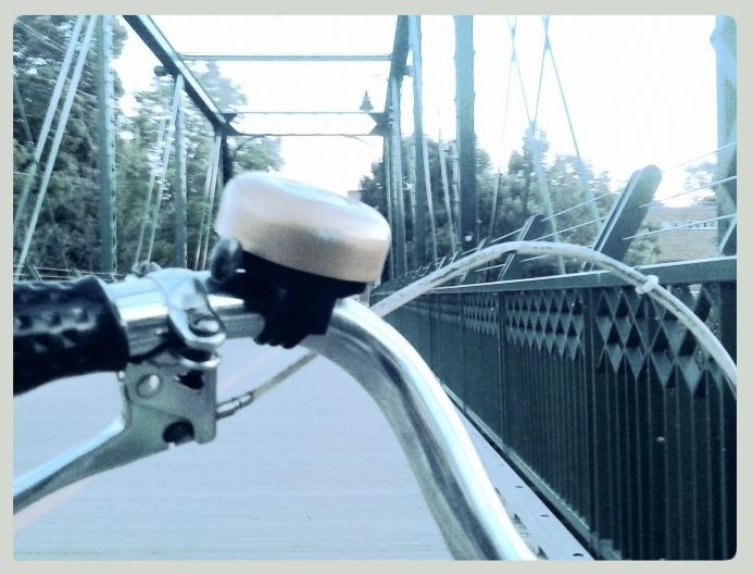 the bridge towards home