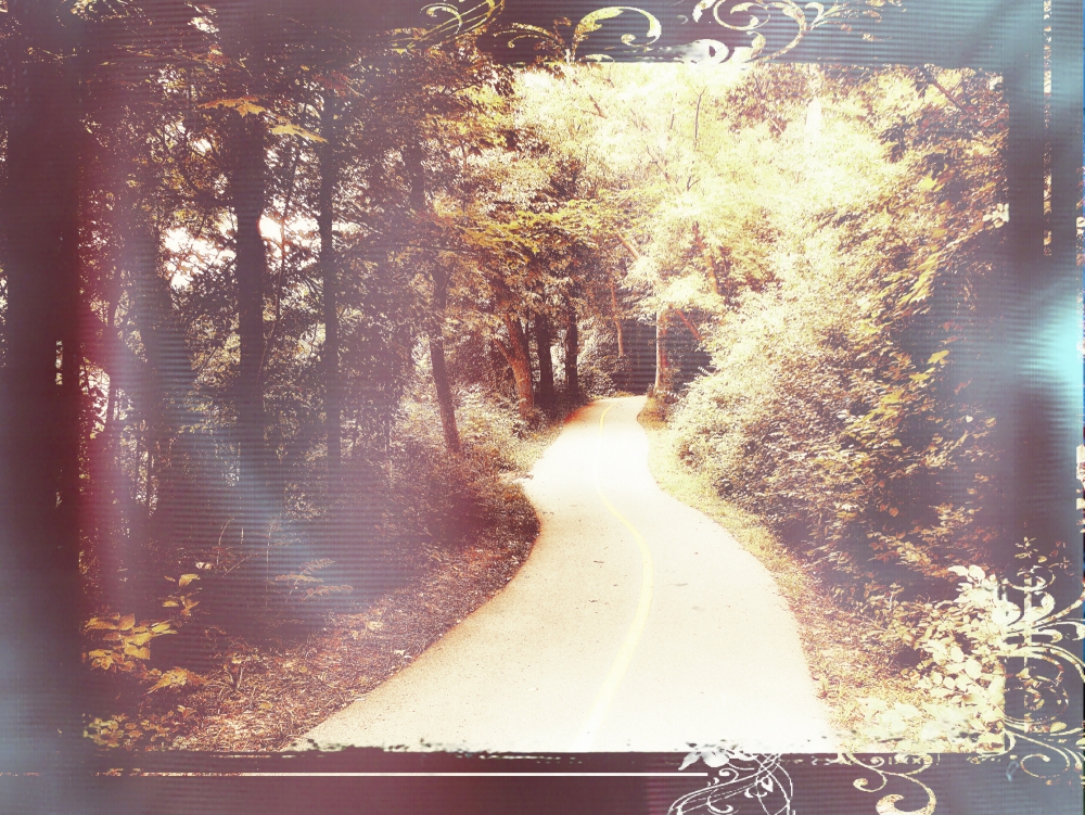 portrait of the path