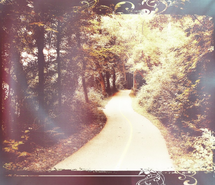 portrait of the path