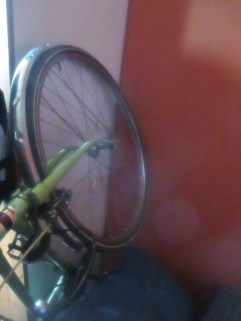 rose-in-her-winter-slumber