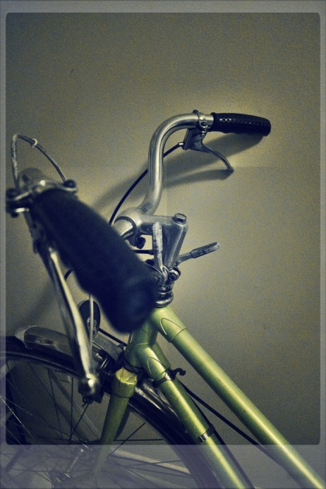 rose against the wall