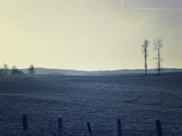 field of grey - thetemenosjournal.com