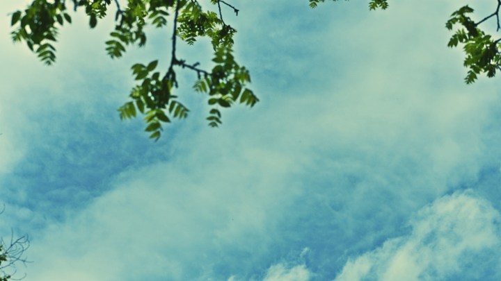 Clouds and Black Walnut Tree - thetemenosjournal.com
