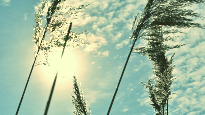 Clouds With Grass - thetemenosjournal.com