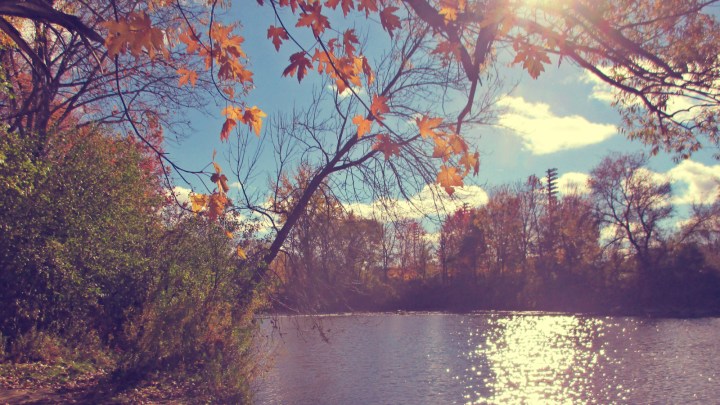 The Thames River - thetemenosjournal.com 