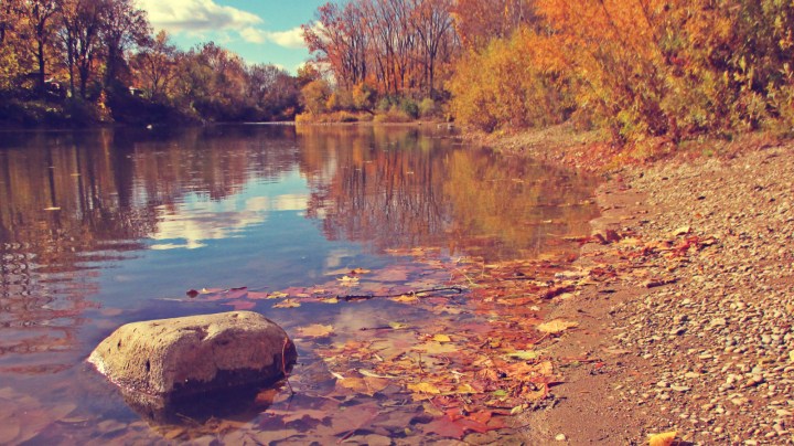 On A Rock In The River - thetemenosjournal.com