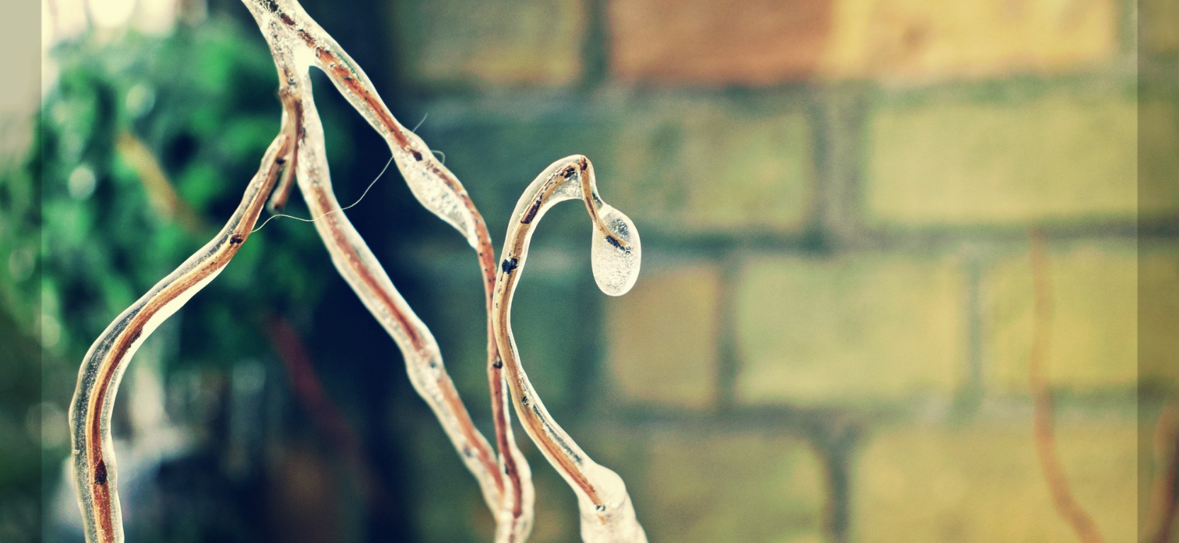 a frozen drop - thetemenosjournal.com