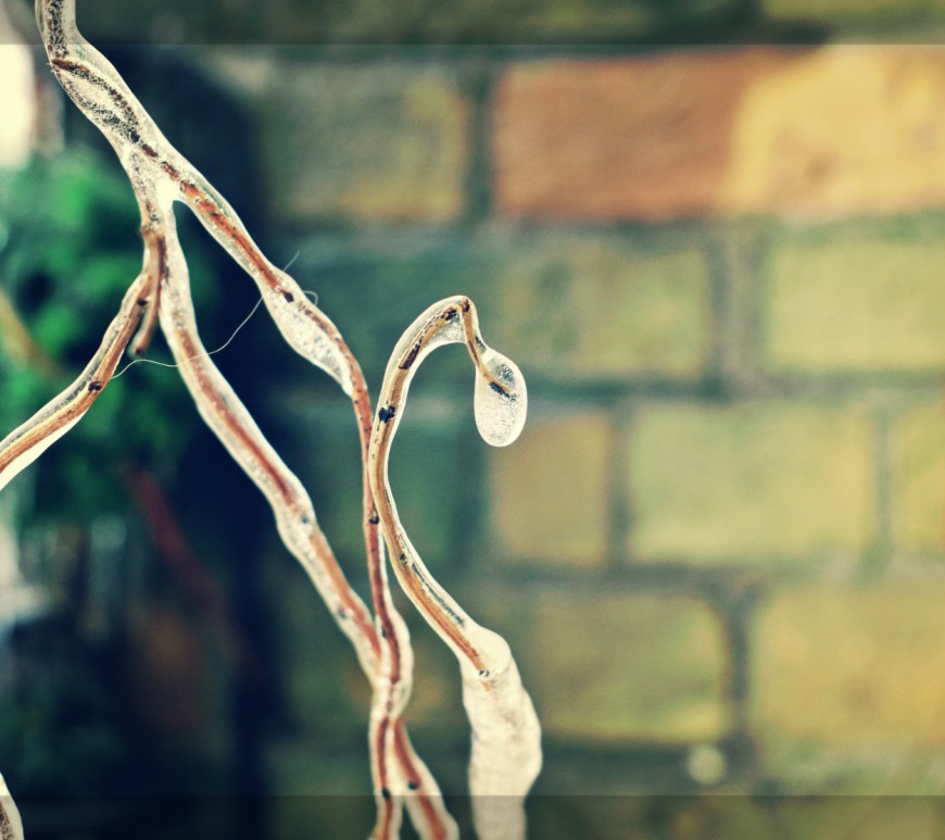 a frozen drop - thetemenosjournal.com