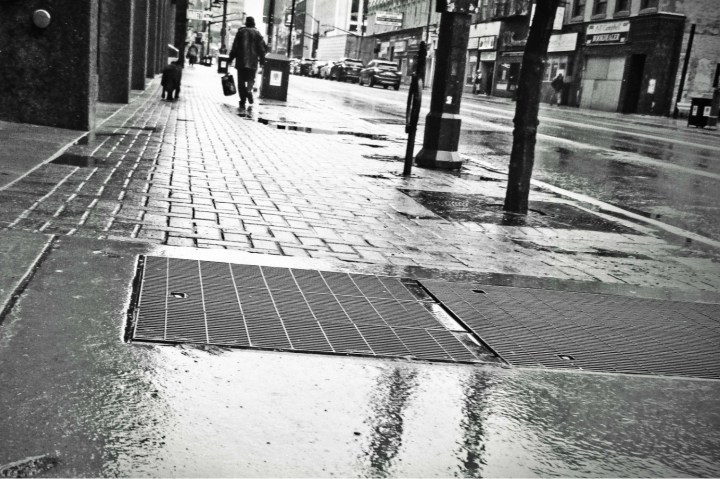 a guy and his dog downtown - thetemenosjournal.com