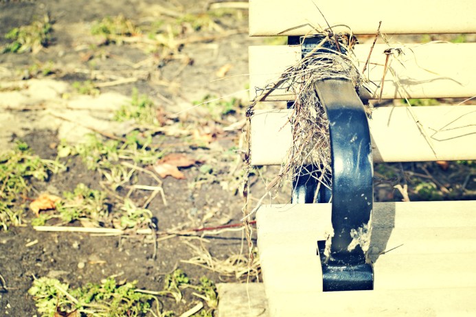 park bench at Thames Park - thetemenosjournal.com