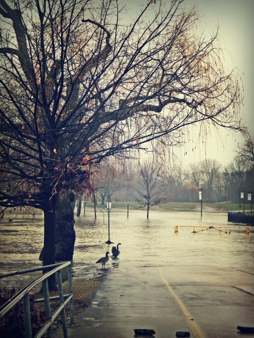 Harris Park - London Ontario - Feb. 23rd, 2018 - thetemenosjournal.com