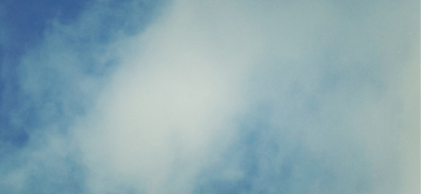 hawks overhead - thetemenosjournal.com