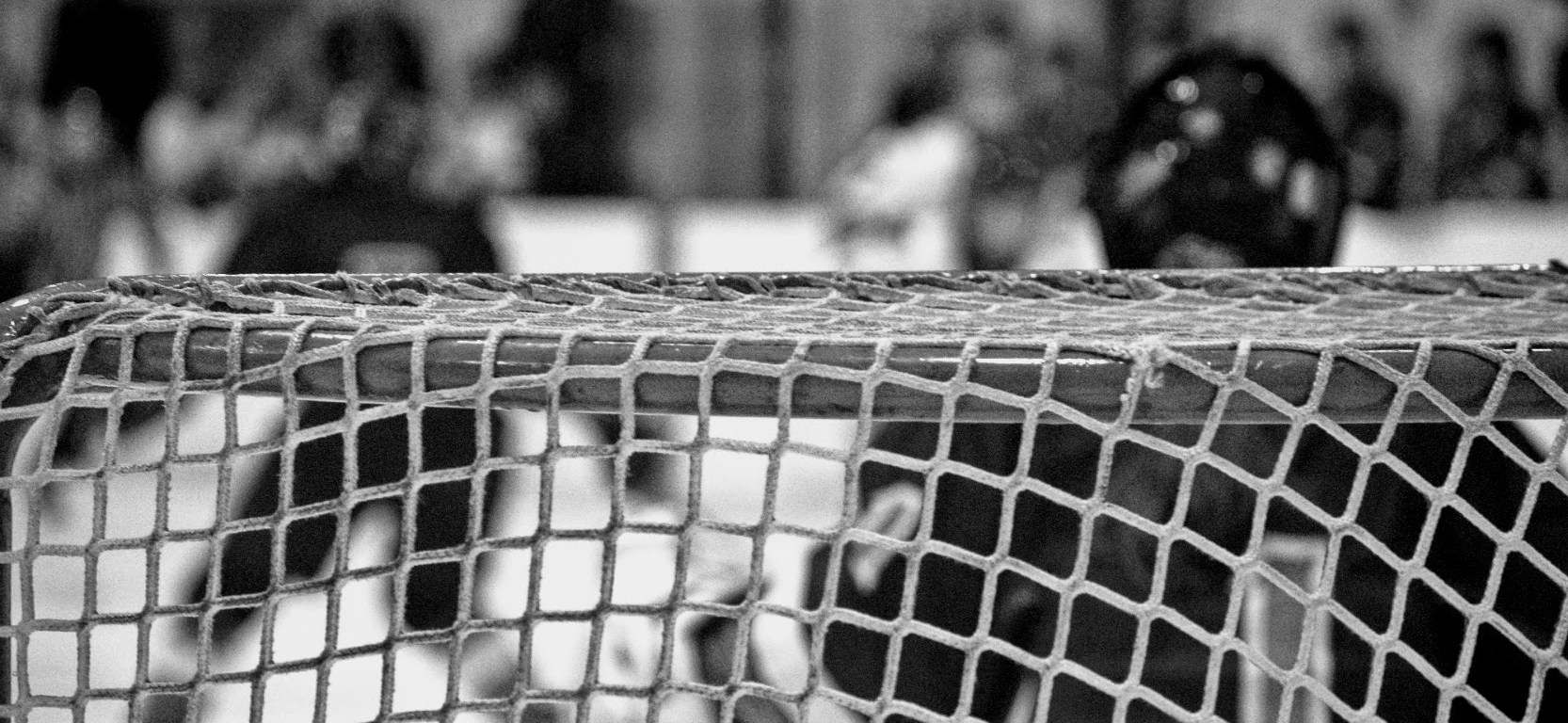 the net - thetemenosjournal.com