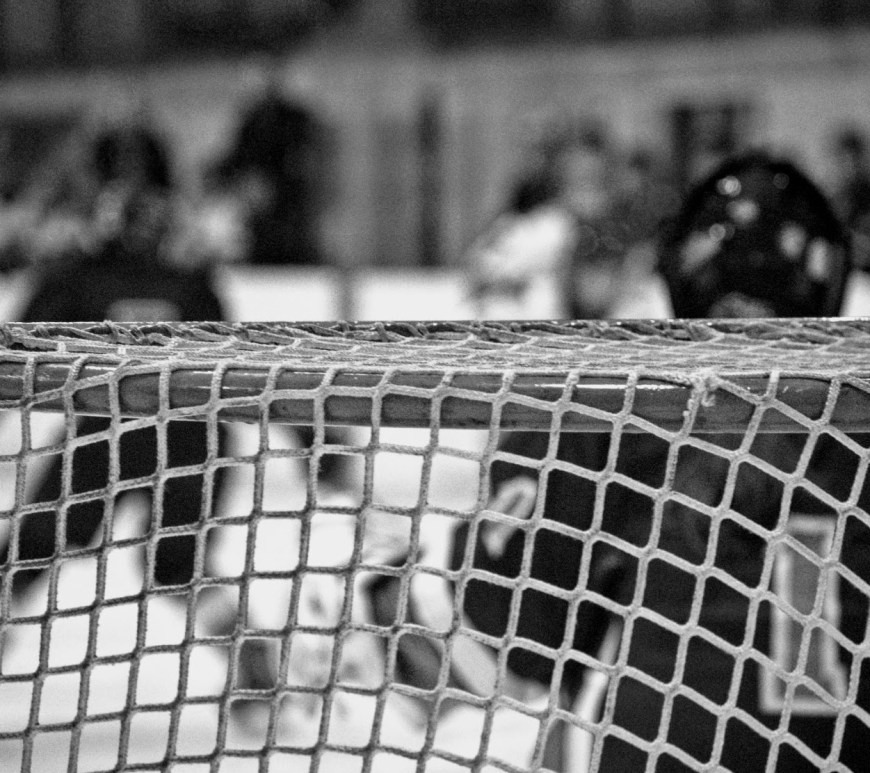 the net - thetemenosjournal.com