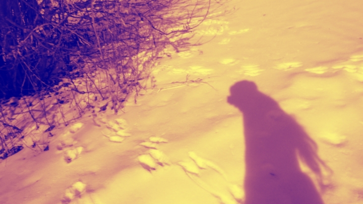 my shadow in the snow - thetemenosjournal.com