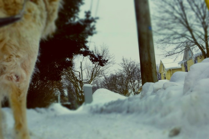 On The Way Home - thetemenosjournal.com